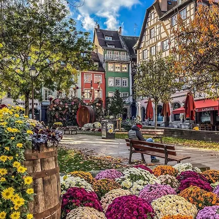 Stylish Near Strasbourg Centre * Mundolsheim